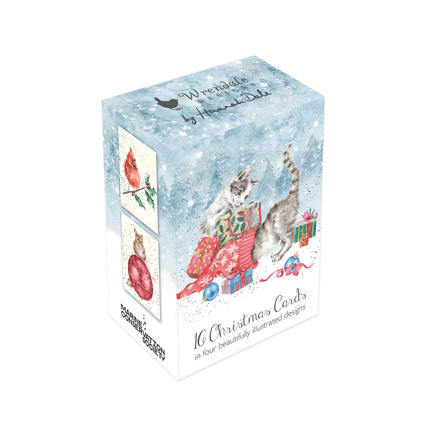 Mini Boxed Cards