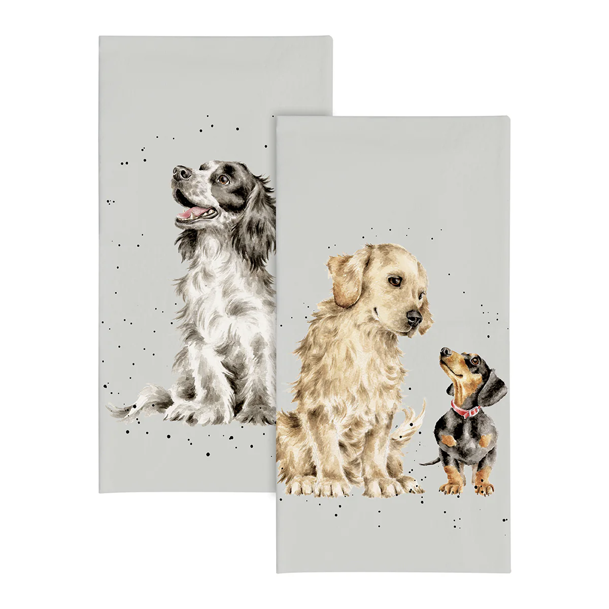Pocket Tissues - Image 9